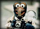 The Great Muppet Caper