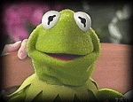 Kermit the Frog on Good Morning America