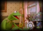 Kermit wakes up for the new day