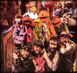 Muppet Central Articles - Reviews: The Best of the Muppet Show DVD's