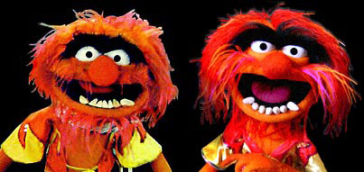 Muppet Central Articles - Reviews: Authentic Animal Muppet Photo Puppet  Replica