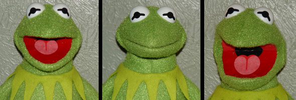 kermit the frog driving face