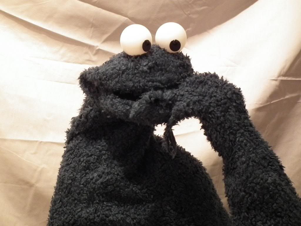 Now Available: A Cookie Monster Photo Puppet Replica!