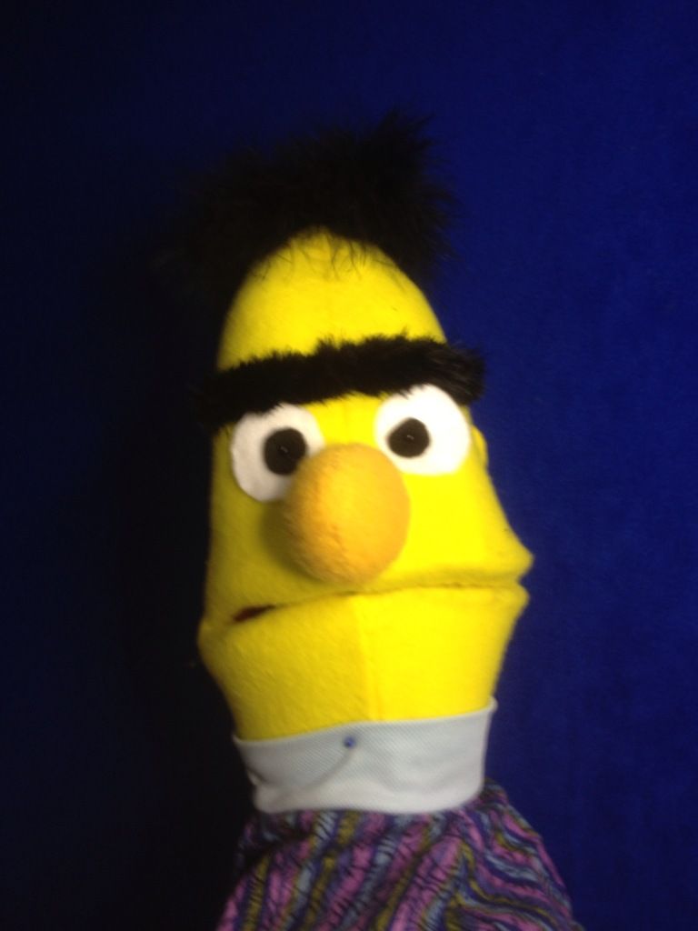 sesame street bert puppet