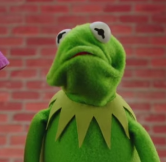 kermit mad face