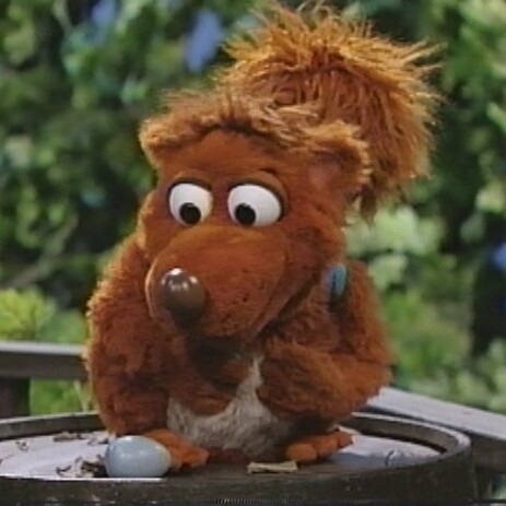 Miss Poogy, Muppet Wiki