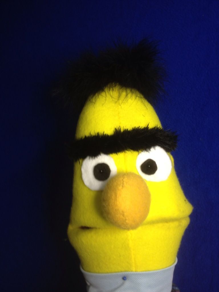 sesame street bert puppet