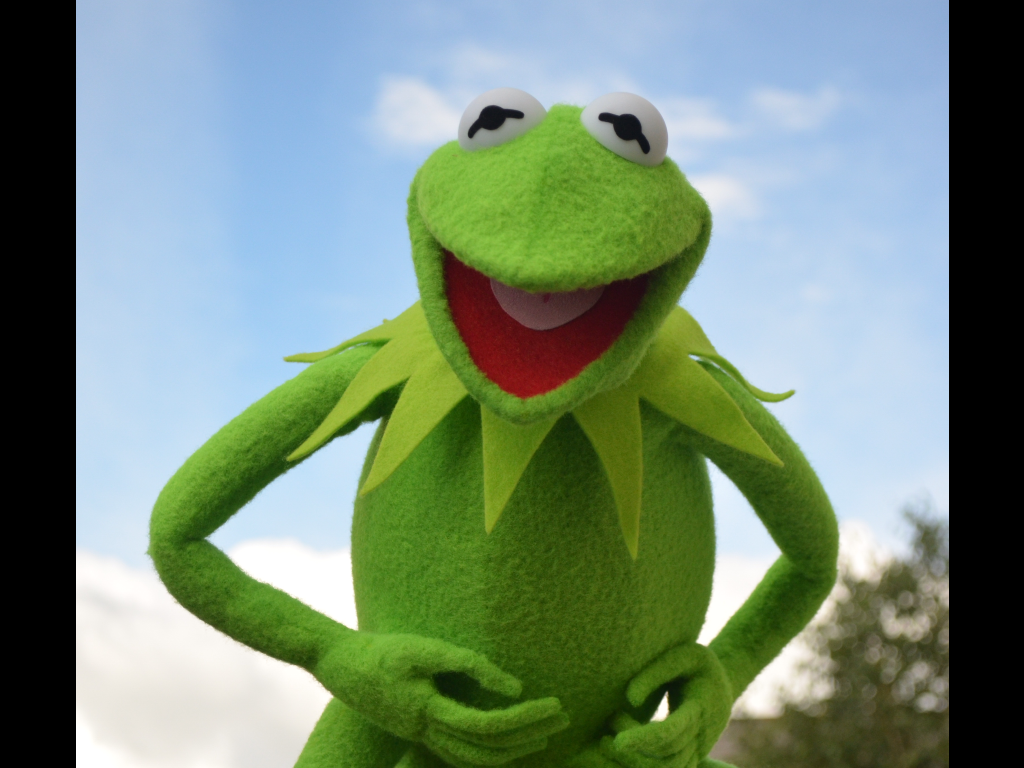 kermit smiling