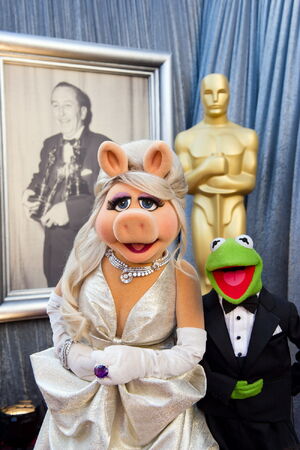 Your Favorite Miss Piggy Outfits Page 2 Muppet Central Forum Your Favorite Miss Piggy Outfits Page 2 Muppet Central Forum